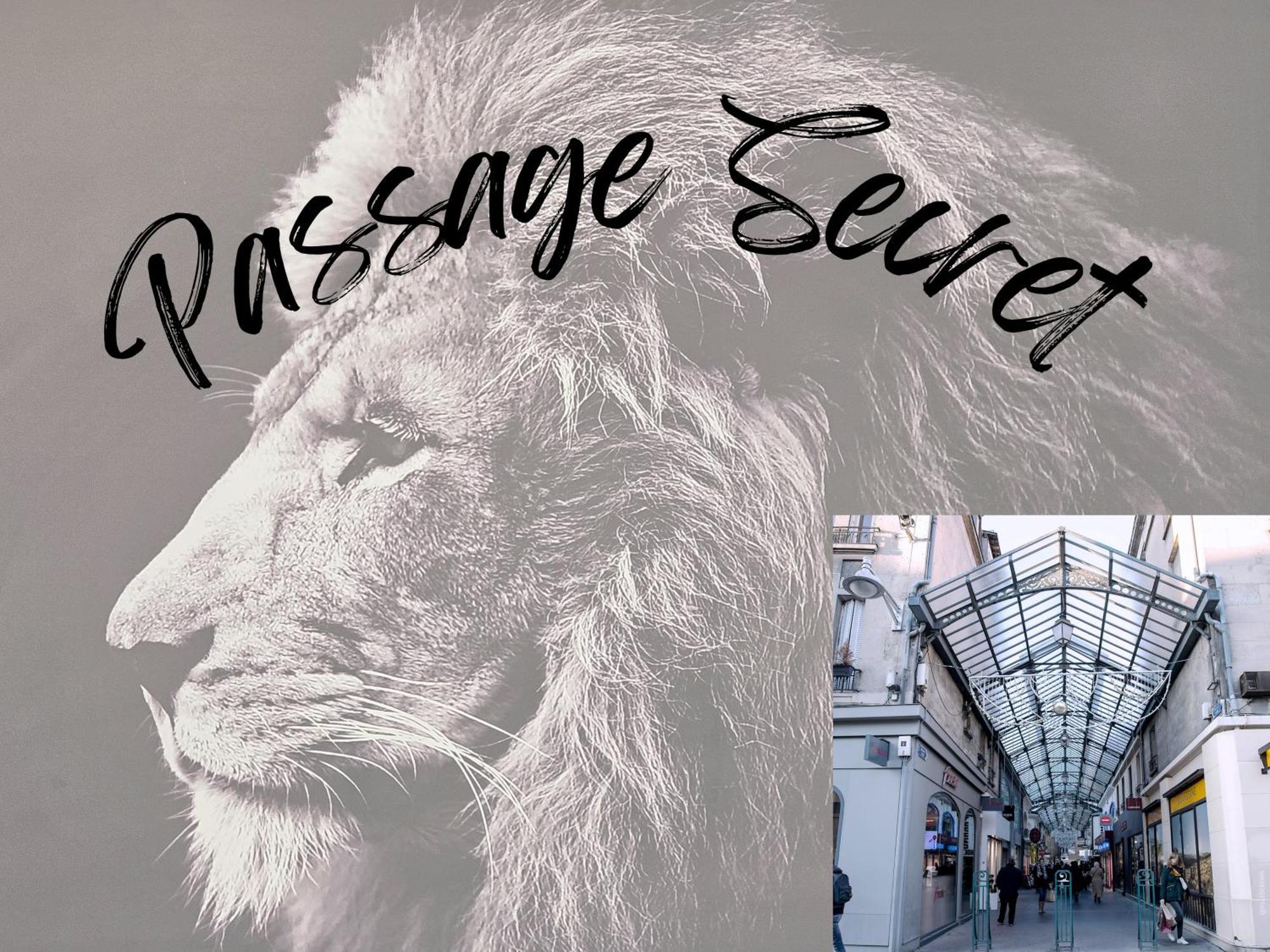 Passage Secret - Ideal Pro, Couples, Familles & Amis - Le Calme En Hypercentre - Wifi Haut Debit - Netflix - Machine A Laver - Gare, Cathedrale, Commerces, Restaurants & Transports En Commun A Moins De 10 Minutes A Pied Реймс Экстерьер фото